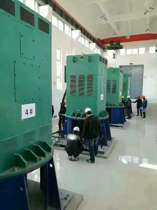 濮阳某污水处理厂使用我厂的立式高压电机安装现场