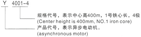西安泰富西玛Y系列(H355-1000)高压濮阳三相异步电机型号说明